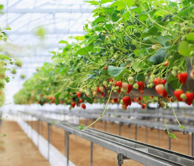 shutterstock_1661858578